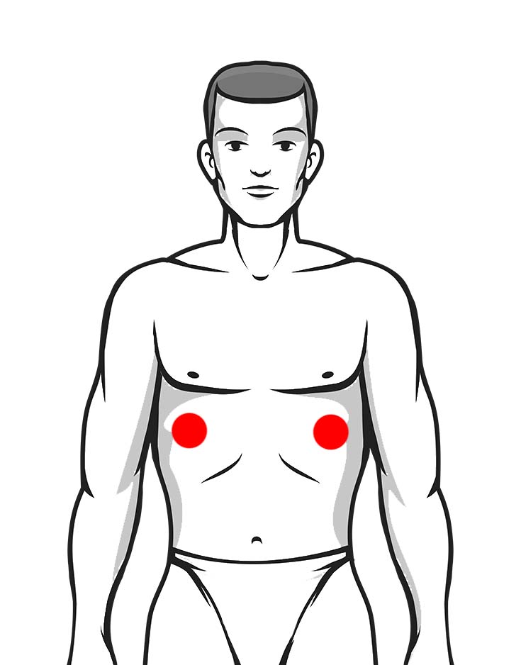 spleen
