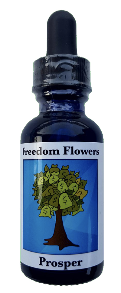 Prosper prosper flower essence