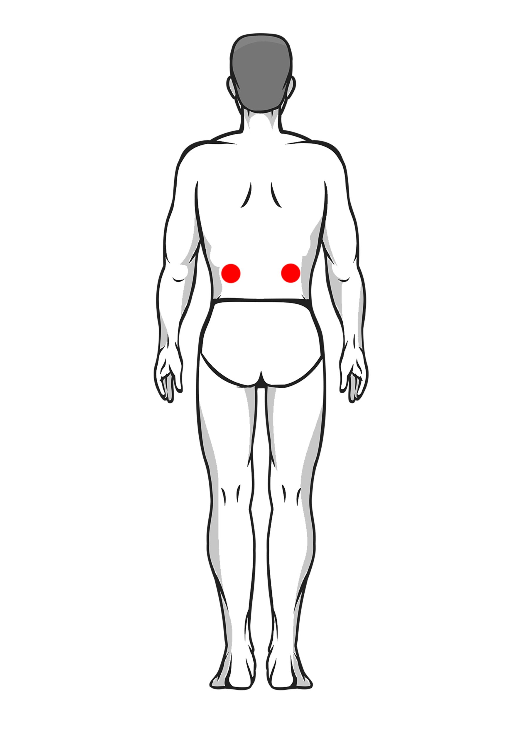 kidney