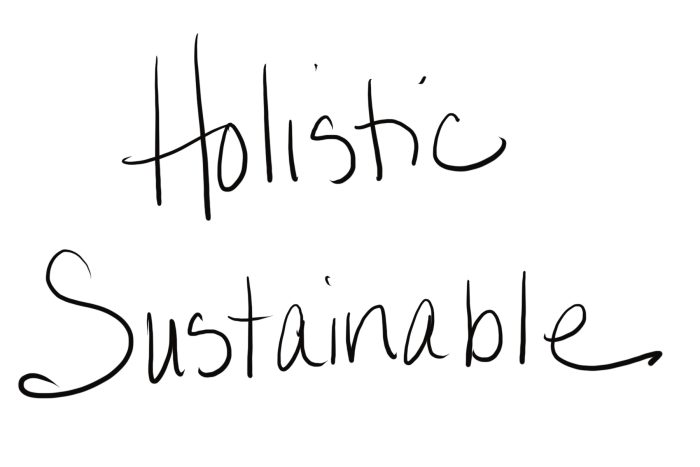 holistic sustainable program for goals