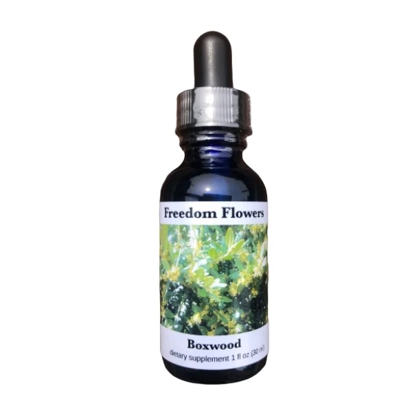 boxwood-flower-essence-bottle__30718 boxwood flower essence