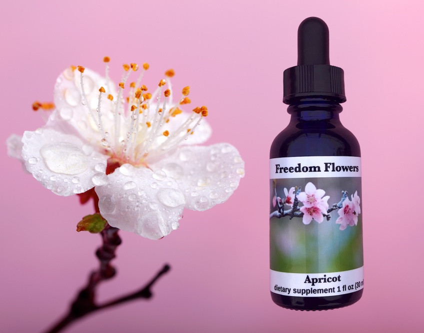 apricot flower essence